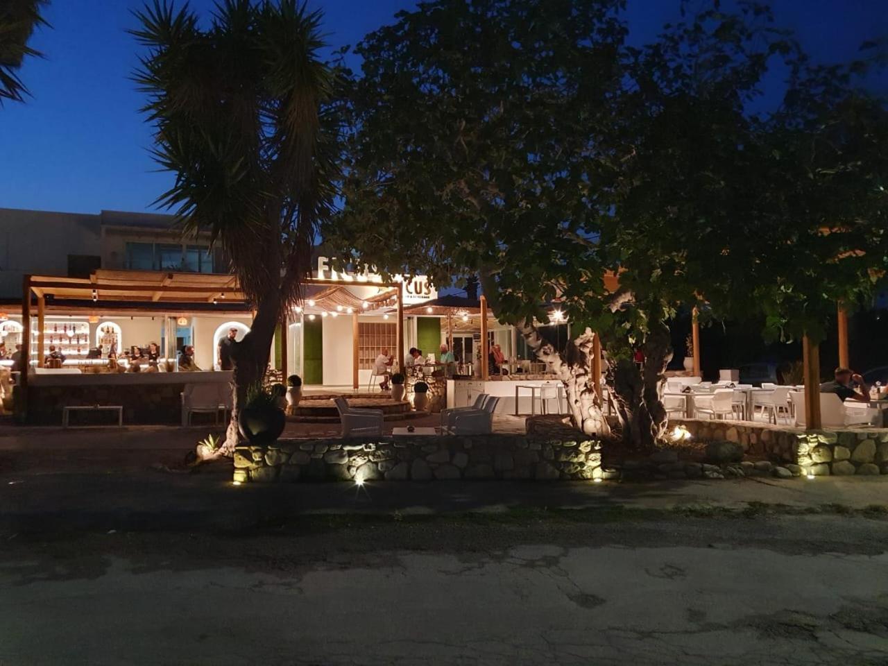 Ficus Traditional Apartments Kefalos  Екстер'єр фото